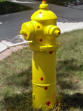 Polka Dot - 118 E. Adams (2)